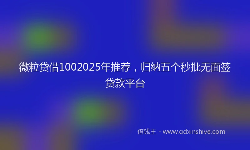 微粒贷借1002025年推荐，归纳五个秒批无面签贷款平台
