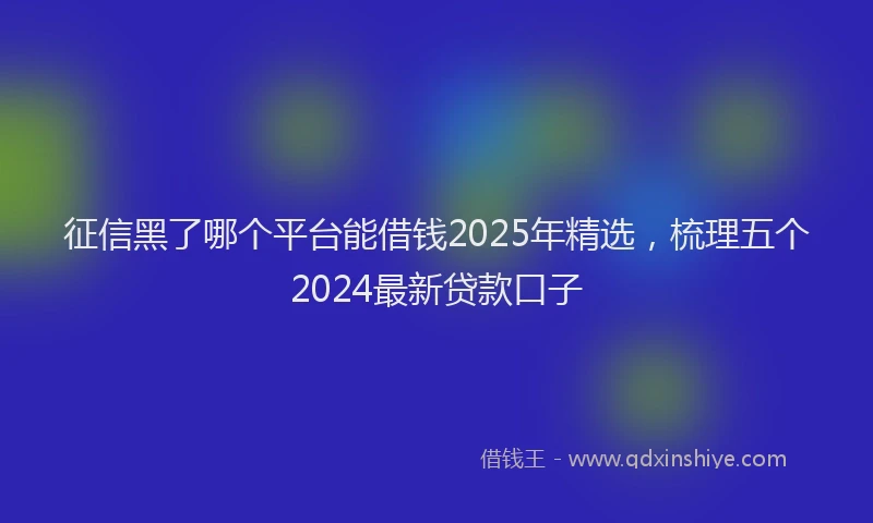 征信黑了哪个平台能借钱2025年精选，梳理五个2024最新贷款口子