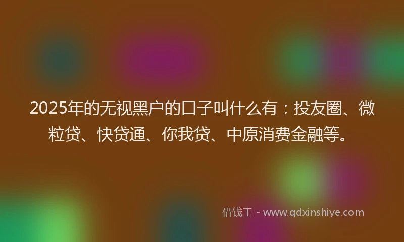 2025年的无视黑户的口子叫什么有：投友圈、微粒贷、快贷通、你我贷、中原消费金融等。