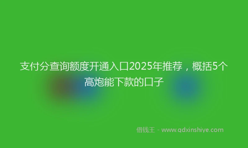 支付分查询额度开通入口2025年推荐，概括5个高炮能下款的口子