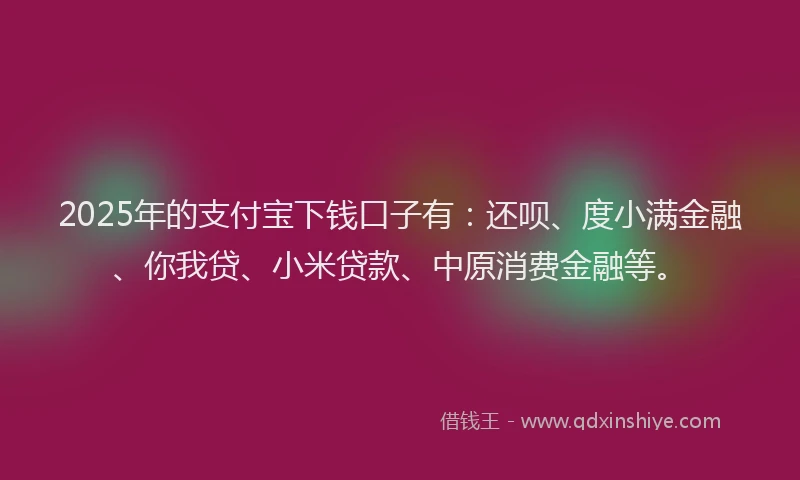 2025年的支付宝下钱口子有：还呗、度小满金融、你我贷、小米贷款、中原消费金融等。