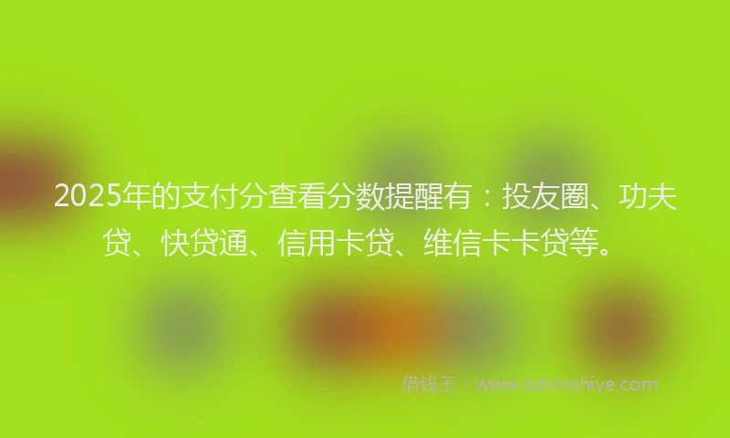 2025年的支付分查看分数提醒有：投友圈、功夫贷、快贷通、信用卡贷、维信卡卡贷等。