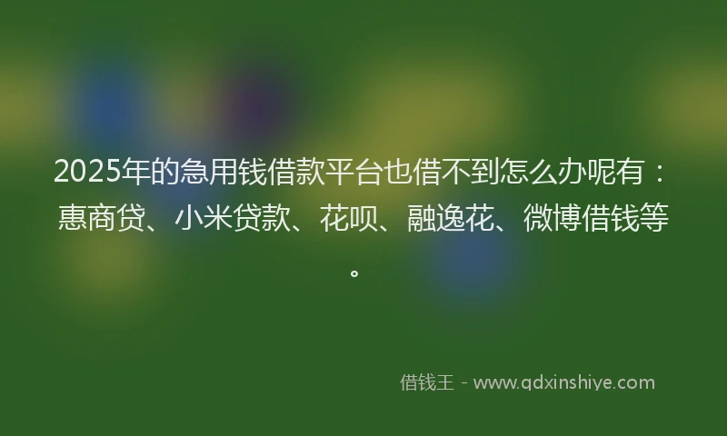 2025年的急用钱借款平台也借不到怎么办呢有：惠商贷、小米贷款、花呗、融逸花、微博借钱等。