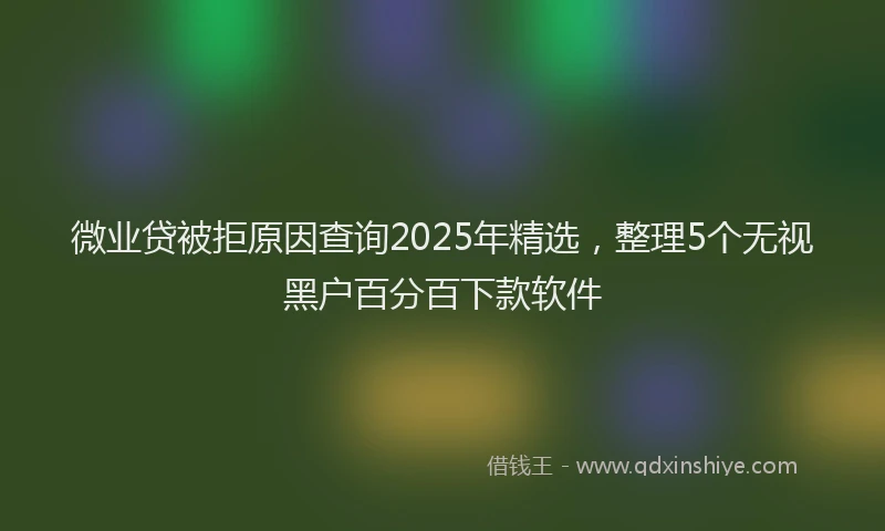 微业贷被拒原因查询2025年精选，整理5个无视黑户百分百下款软件