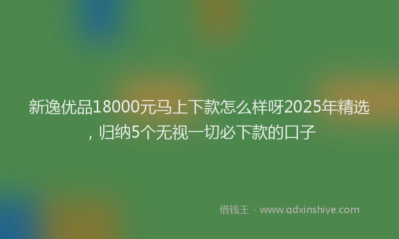 新逸优品18000元马上下款怎么样呀2025年精选，归纳5个无视一切必下款的口子