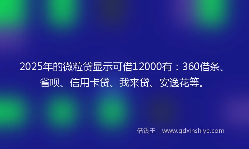 2025年的微粒贷显示可借12000有：360借条、省呗、信用卡贷、我来贷、安逸花等。