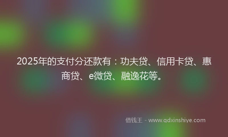 2025年的支付分还款有：功夫贷、信用卡贷、惠商贷、e微贷、融逸花等。