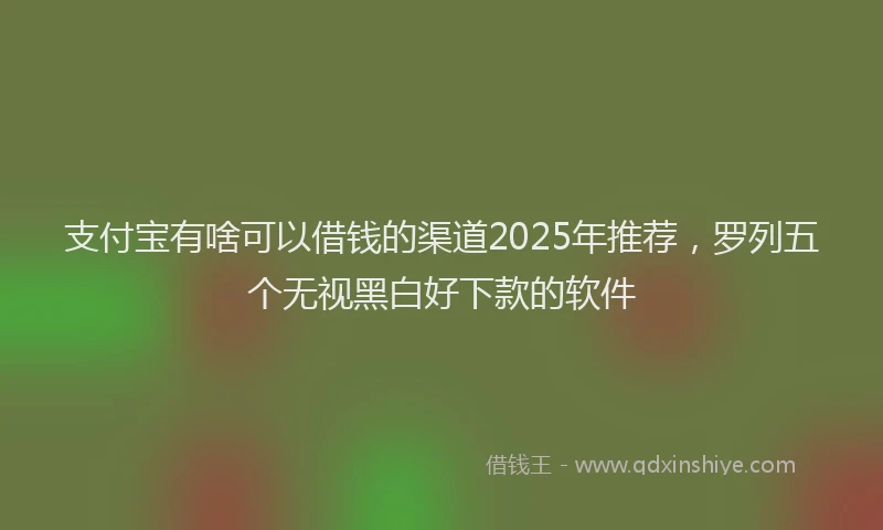 支付宝有啥可以借钱的渠道2025年推荐，罗列五个无视黑白好下款的软件