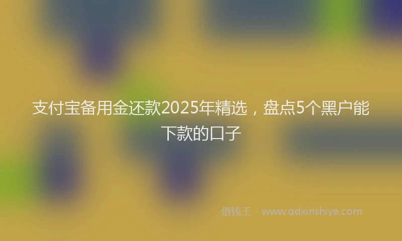支付宝备用金还款2025年精选，盘点5个黑户能下款的口子