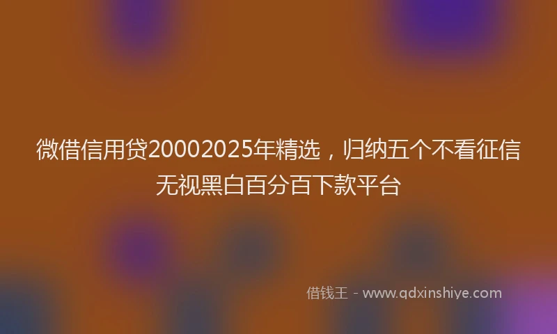 微借信用贷20002025年精选，归纳五个不看征信无视黑白百分百下款平台