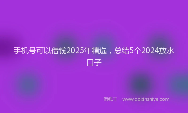 手机号可以借钱2025年精选，总结5个2024放水口子