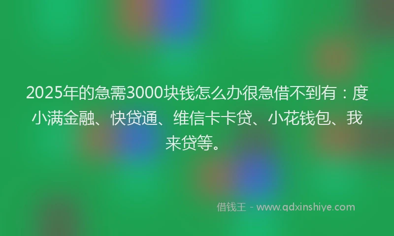 2025年的急需3000块钱怎么办很急借不到有：度小满金融、快贷通、维信卡卡贷、小花钱包、我来贷等。