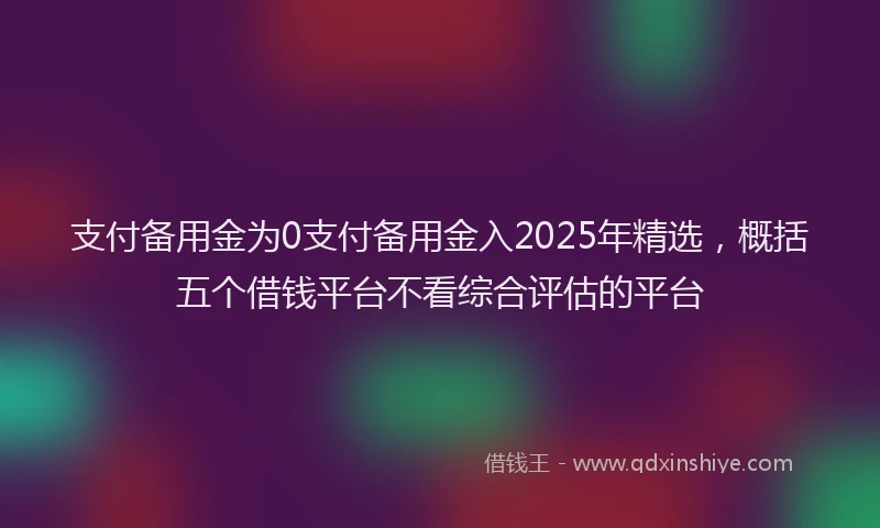 支付备用金为0支付备用金入2025年精选，概括五个借钱平台不看综合评估的平台