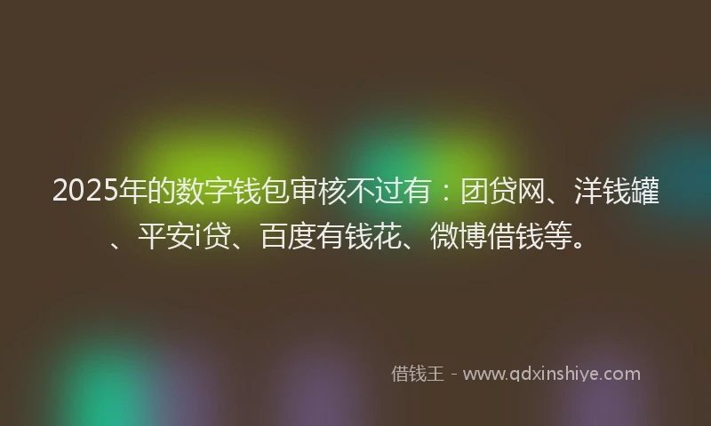 2025年的数字钱包审核不过有：团贷网、洋钱罐、平安i贷、百度有钱花、微博借钱等。