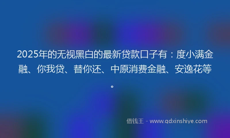 2025年的无视黑白的最新贷款口子有：度小满金融、你我贷、替你还、中原消费金融、安逸花等。