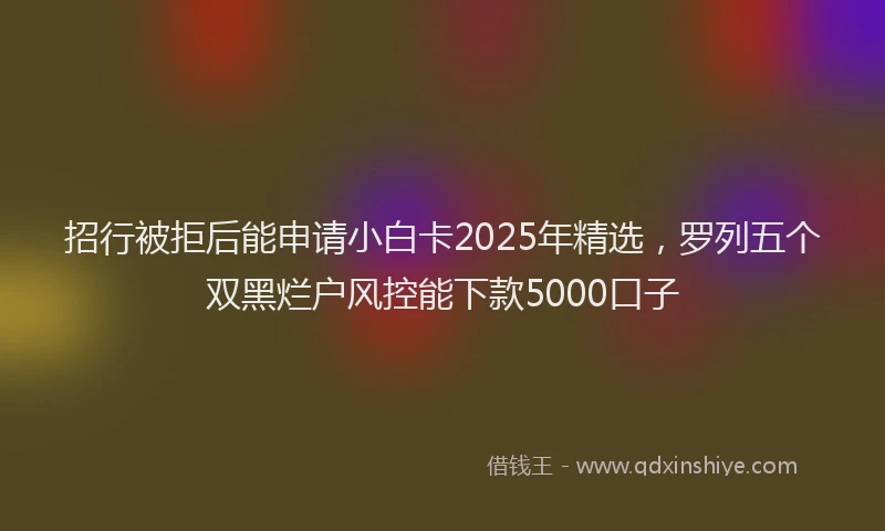 招行被拒后能申请小白卡2025年精选，罗列五个双黑烂户风控能下款5000口子