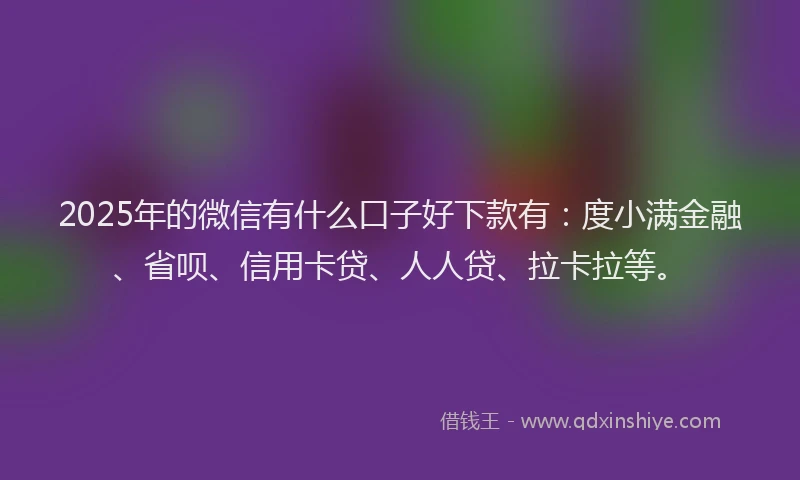 2025年的微信有什么口子好下款有：度小满金融、省呗、信用卡贷、人人贷、拉卡拉等。