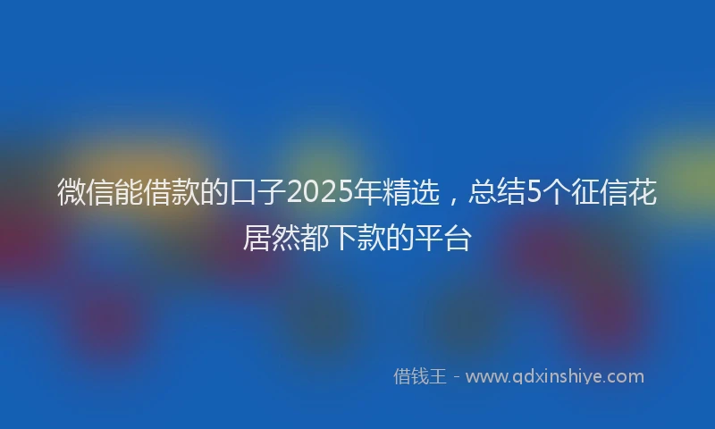 微信能借款的口子2025年精选，总结5个征信花居然都下款的平台