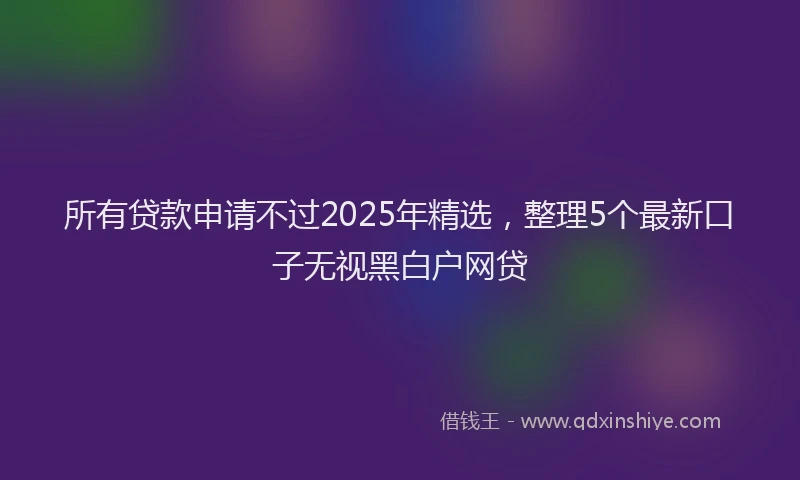 所有贷款申请不过2025年精选，整理5个最新口子无视黑白户网贷
