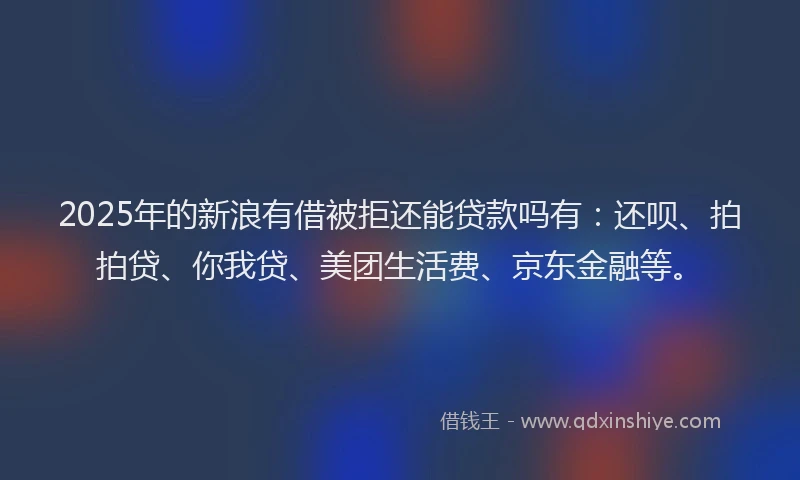 2025年的新浪有借被拒还能贷款吗有：还呗、拍拍贷、你我贷、美团生活费、京东金融等。
