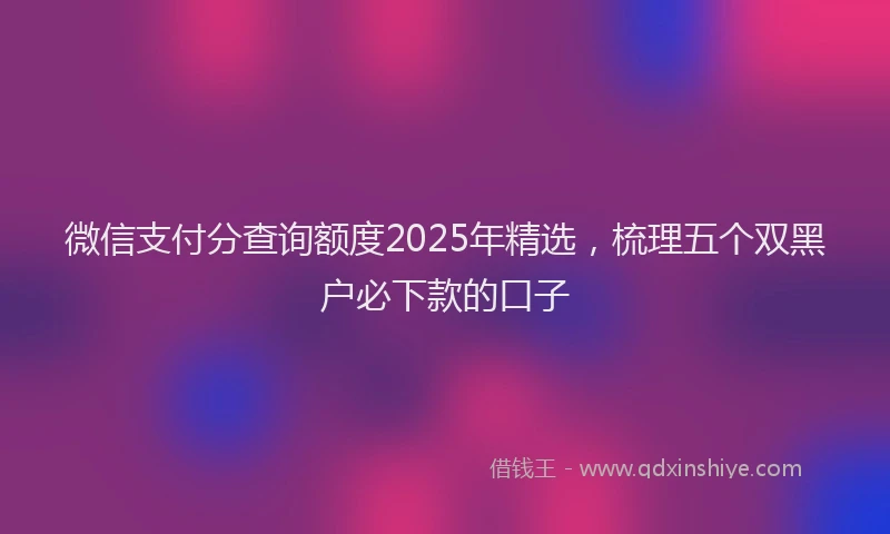 微信支付分查询额度2025年精选，梳理五个双黑户必下款的口子