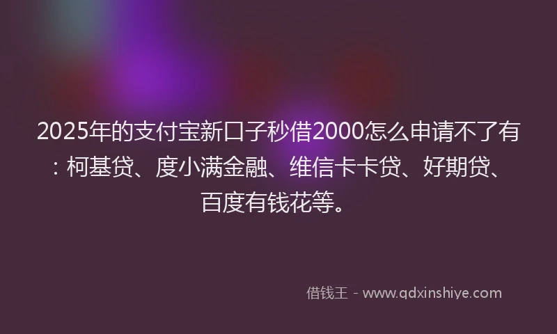 2025年的支付宝新口子秒借2000怎么申请不了有：柯基贷、度小满金融、维信卡卡贷、好期贷、百度有钱花等。