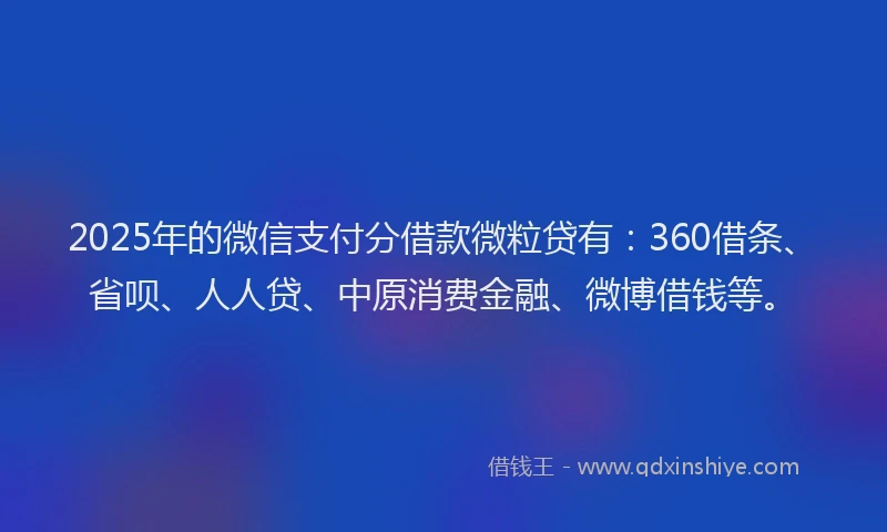 2025年的微信支付分借款微粒贷有：360借条、省呗、人人贷、中原消费金融、微博借钱等。