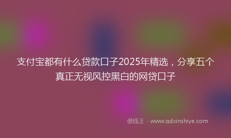支付宝都有什么贷款口子2025年精选，分享五个真正无视风控黑白的网贷口子
