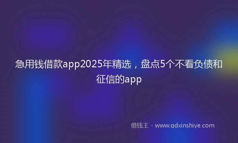 急用钱借款app2025年精选，盘点5个不看负债和征信的app