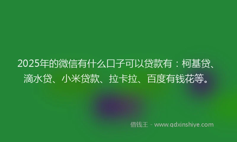 2025年的微信有什么口子可以贷款有：柯基贷、滴水贷、小米贷款、拉卡拉、百度有钱花等。