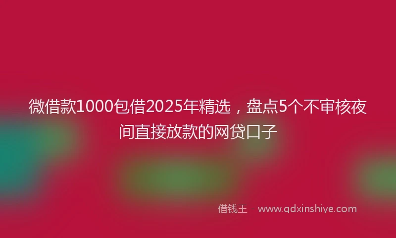 微借款1000包借2025年精选，盘点5个不审核夜间直接放款的网贷口子