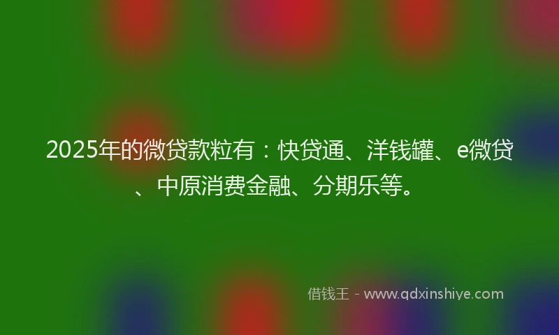 2025年的微贷款粒有：快贷通、洋钱罐、e微贷、中原消费金融、分期乐等。