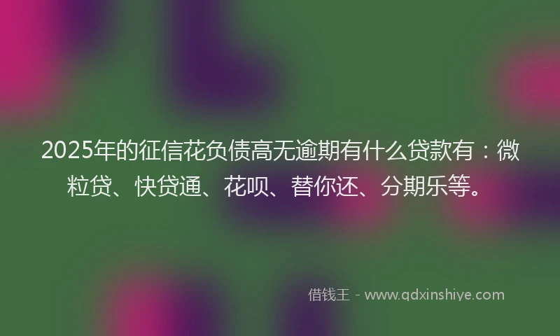2025年的征信花负债高无逾期有什么贷款有：微粒贷、快贷通、花呗、替你还、分期乐等。