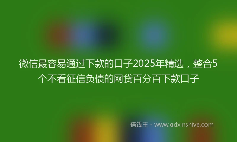 微信最容易通过下款的口子2025年精选，整合5个不看征信负债的网贷百分百下款口子