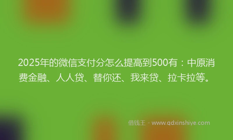 2025年的微信支付分怎么提高到500有：中原消费金融、人人贷、替你还、我来贷、拉卡拉等。