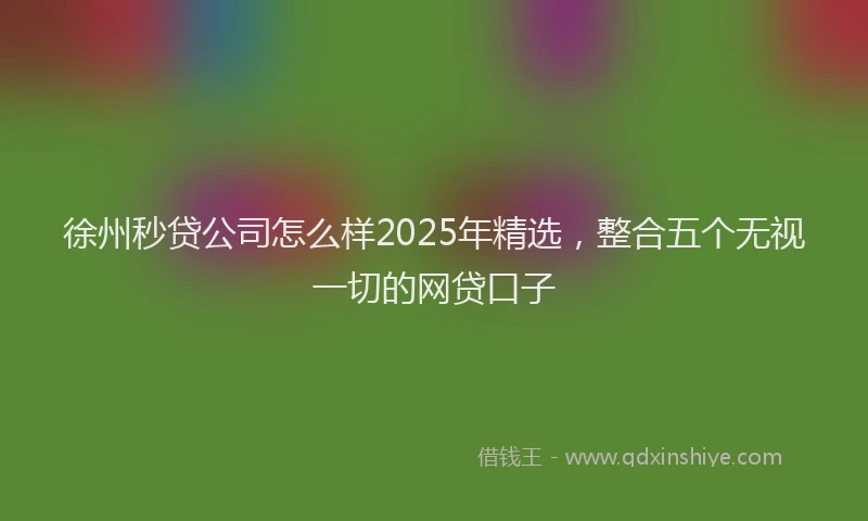 徐州秒贷公司怎么样2025年精选，整合五个无视一切的网贷口子