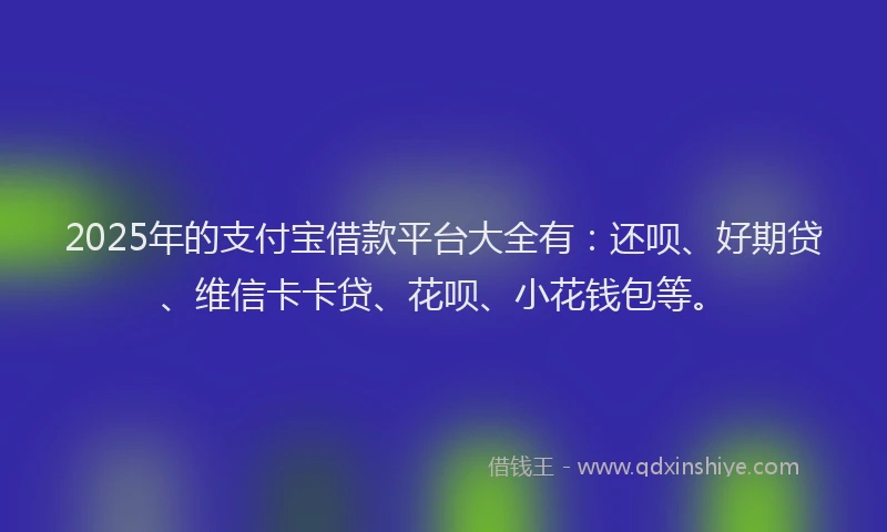 2025年的支付宝借款平台大全有：还呗、好期贷、维信卡卡贷、花呗、小花钱包等。