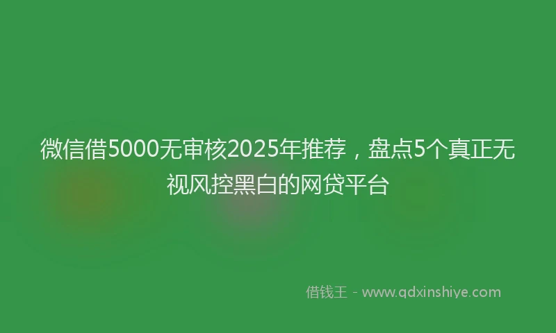 微信借5000无审核2025年推荐，盘点5个真正无视风控黑白的网贷平台