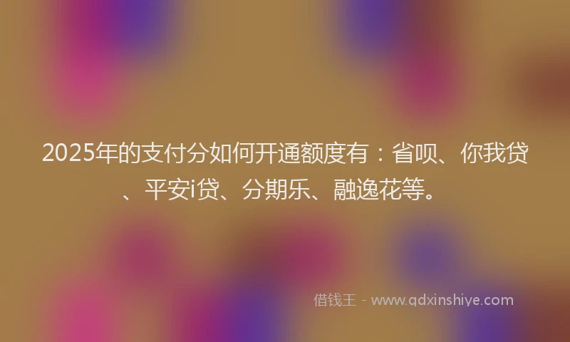 2025年的支付分如何开通额度有：省呗、你我贷、平安i贷、分期乐、融逸花等。