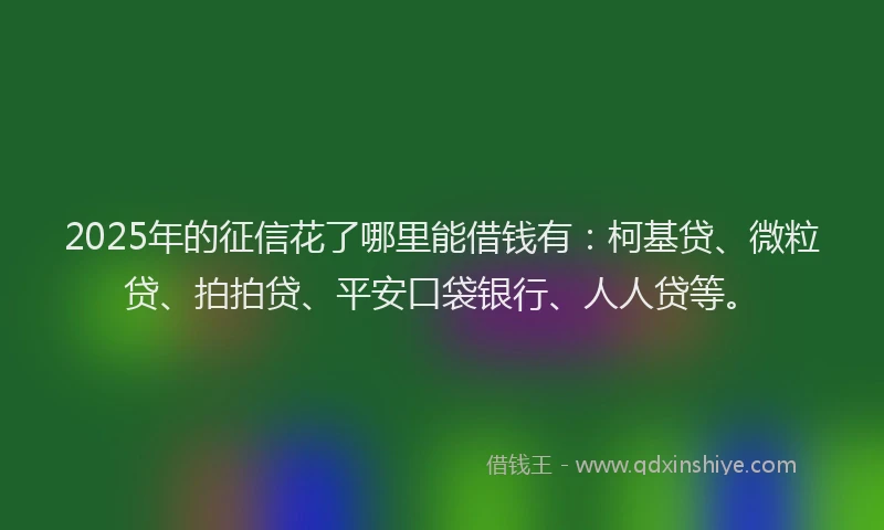 2025年的征信花了哪里能借钱有：柯基贷、微粒贷、拍拍贷、平安口袋银行、人人贷等。