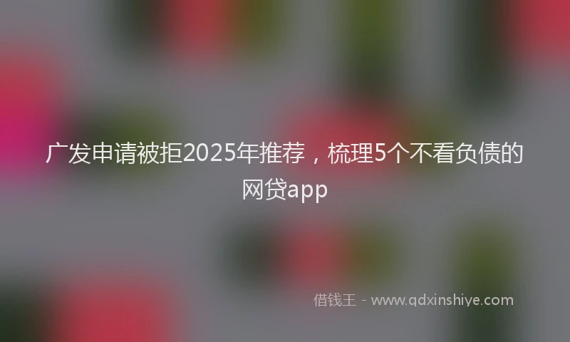 广发申请被拒2025年推荐，梳理5个不看负债的网贷app
