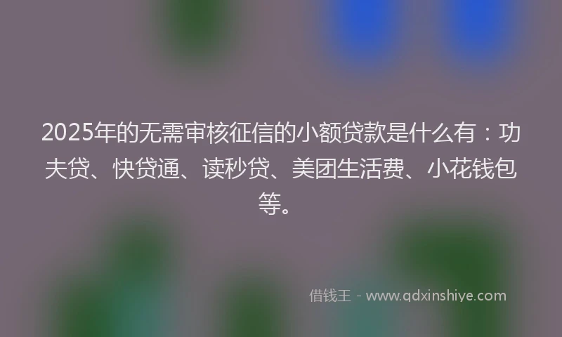 2025年的无需审核征信的小额贷款是什么有：功夫贷、快贷通、读秒贷、美团生活费、小花钱包等。