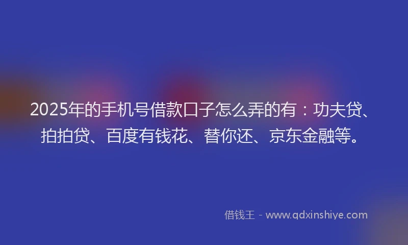 2025年的手机号借款口子怎么弄的有：功夫贷、拍拍贷、百度有钱花、替你还、京东金融等。