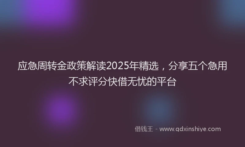 应急周转金政策解读2025年精选，分享五个急用不求评分快借无忧的平台