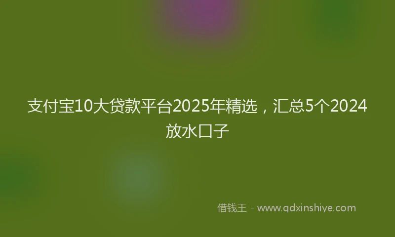支付宝10大贷款平台2025年精选，汇总5个2024放水口子