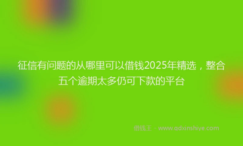 征信有问题的从哪里可以借钱2025年精选，整合五个逾期太多仍可下款的平台