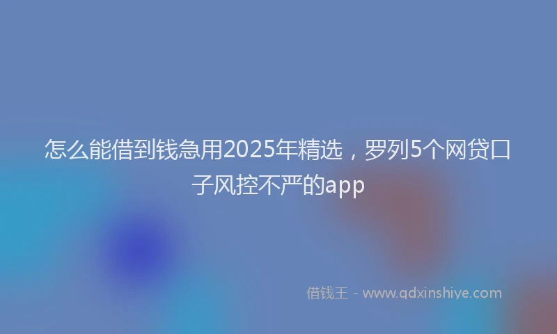 怎么能借到钱急用2025年精选，罗列5个网贷口子风控不严的app