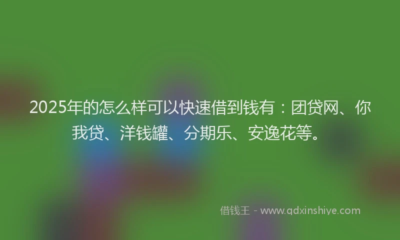 2025年的怎么样可以快速借到钱有：团贷网、你我贷、洋钱罐、分期乐、安逸花等。
