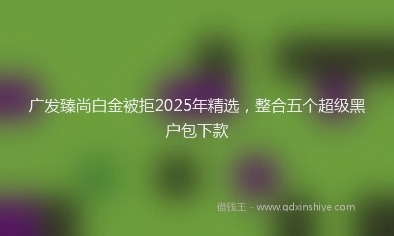广发臻尚白金被拒2025年精选，整合五个超级黑户包下款