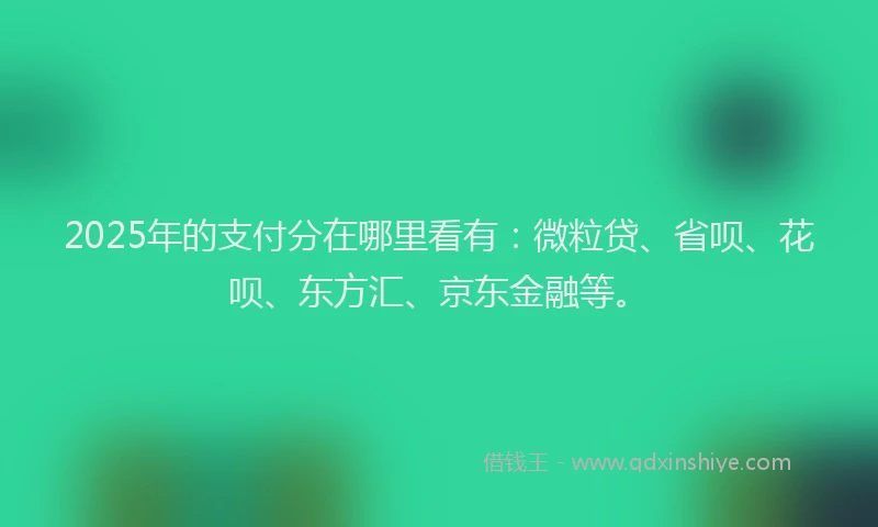 2025年的支付分在哪里看有：微粒贷、省呗、花呗、东方汇、京东金融等。